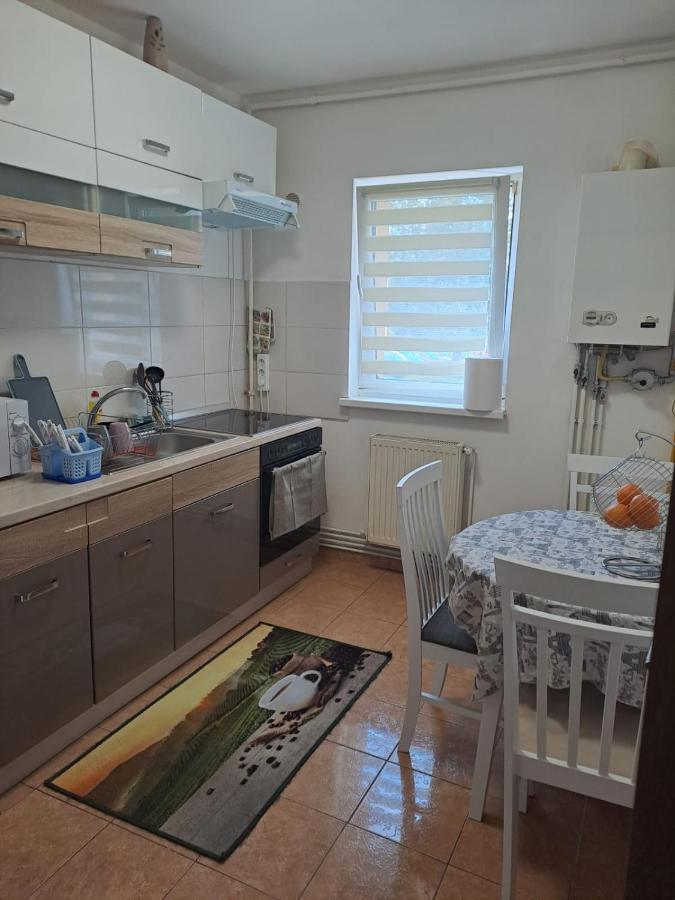 Garsoniera Bia Apartment Brasov Exterior photo